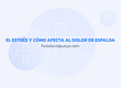 El estrés y cómo afecta al dolor de espalda