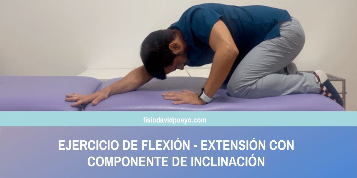 ejercicio de flexión - extensión con componente de inclinació
