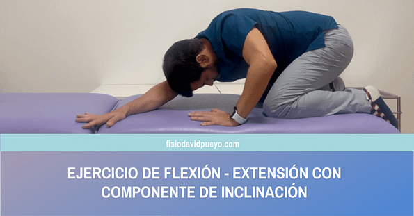 ejercicio de flexión - extensión con componente de inclinació