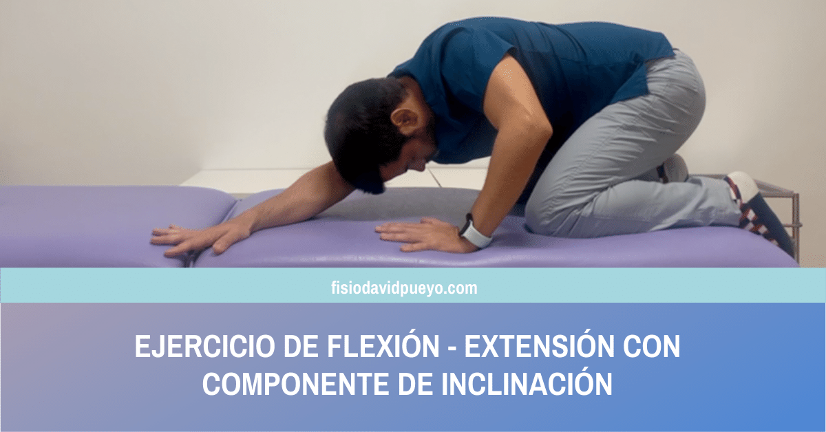 ejercicio de flexión - extensión con componente de inclinació